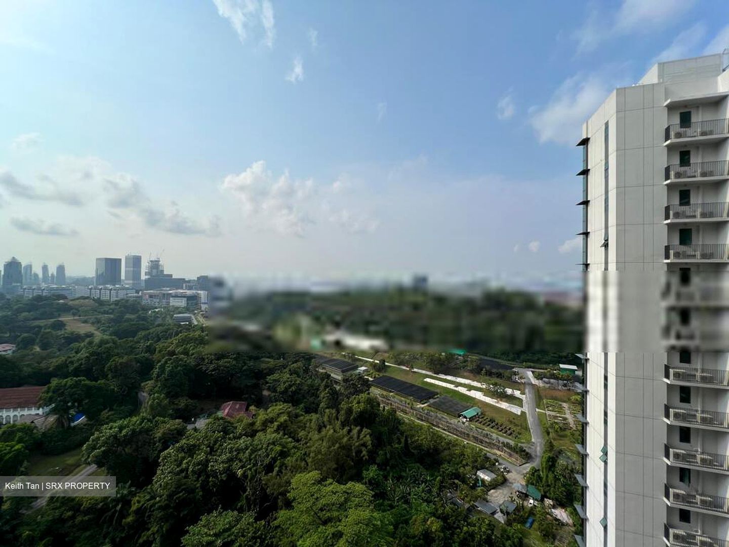 Normanton Park (D5), Apartment #414899311